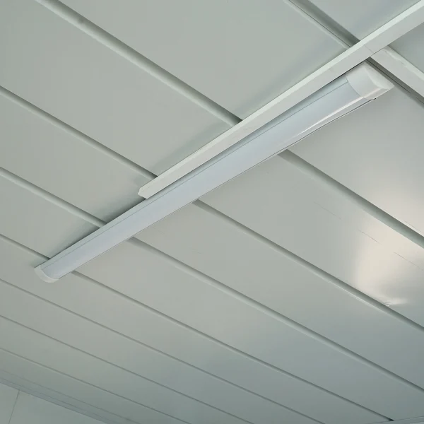 Container tip casa 600x300x290cm cu usa dubla si instalatie electrica