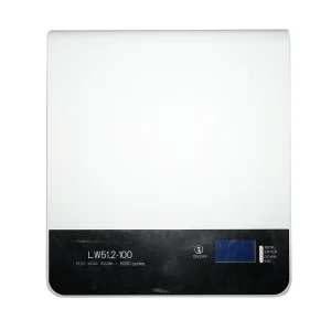 Baterie Li-ion LifePo4 51.2V, 100Ah cu BMS, Bluetooth, LCD display, protectie temperatura, conexiune in paralel Leoch Battery