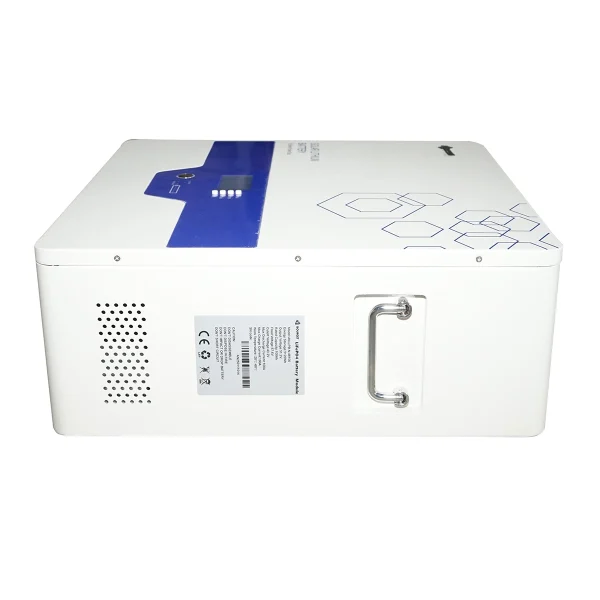 Baterie Li-ion LifePo4 51.2V, 100Ah cu BMS, deep cycle, display LCD 570x410x160mm IP54 Bourget